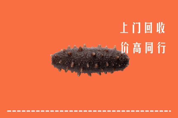 广州高价回收海参