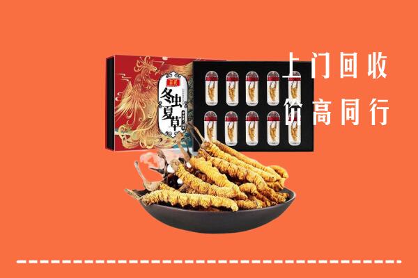 收购行情：广州回收虫草